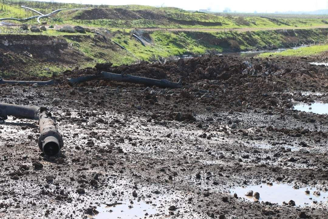 مراسل بلدي نيوز: أكثر من 30 غا...