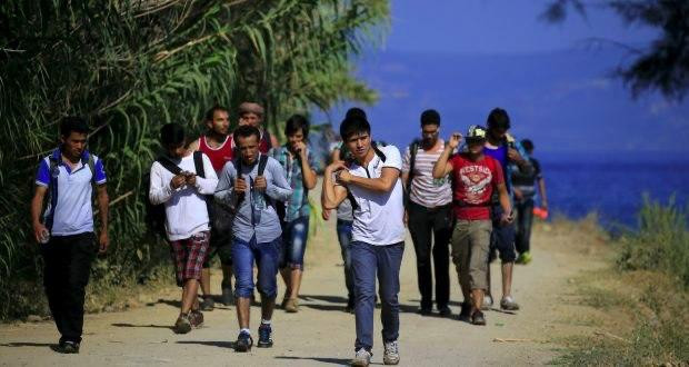 إصابة 14 سورياً بحادث مروري في...