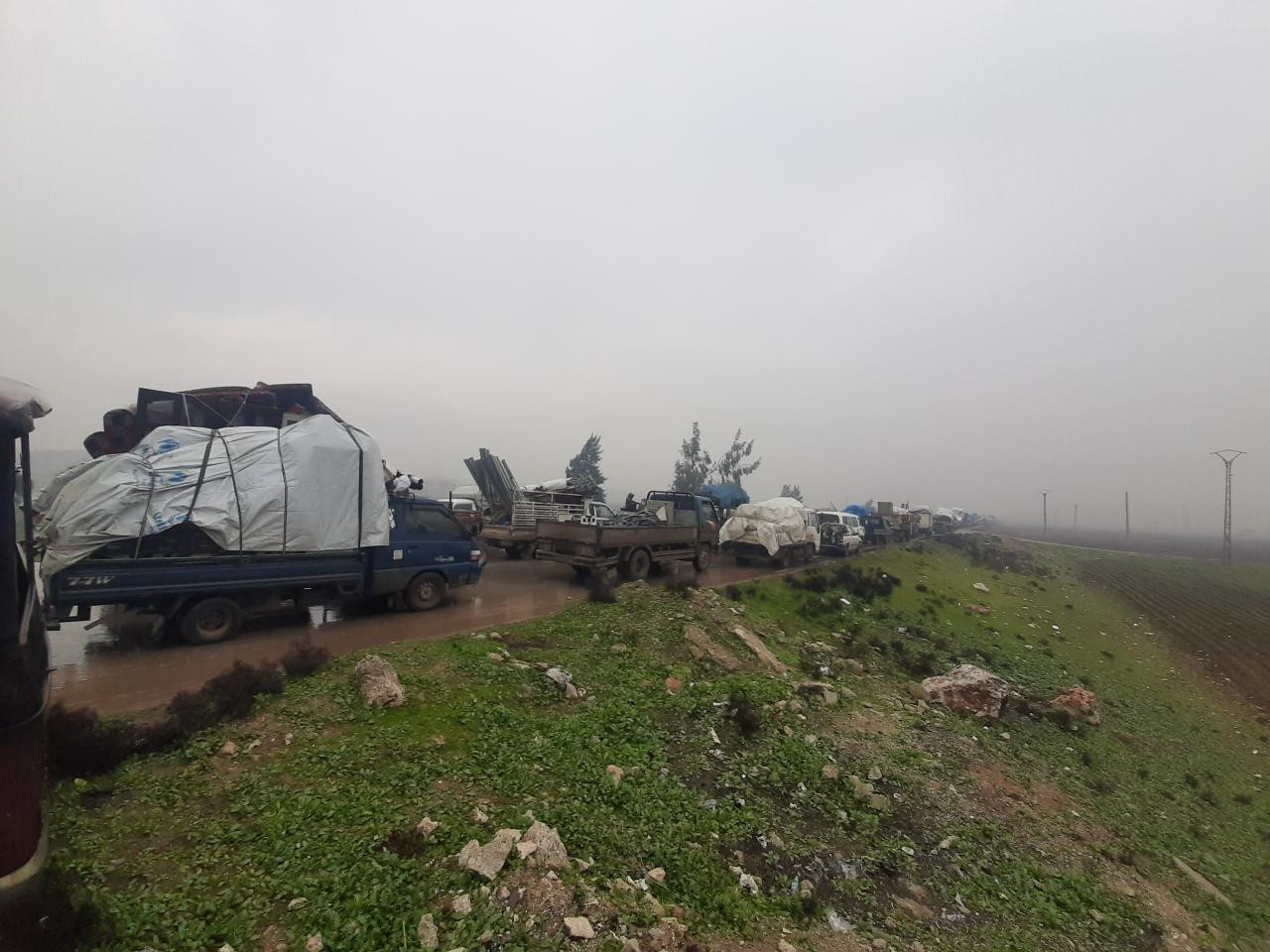 خلا من الكلمات.. "منسقو استجاب...