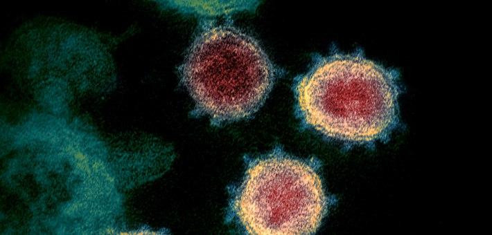 دراسة تحدد مواعيد انتهاء كورون...