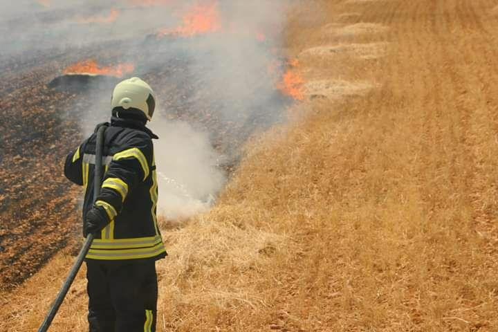 الحرائق تلتهم مساحات من حقول ا...