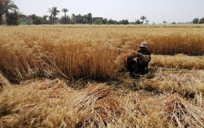 وكالة روسية: ترامب أمر بإحراق...