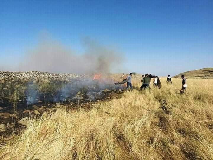 بعد انتشارها.. الميليشيات الإي...