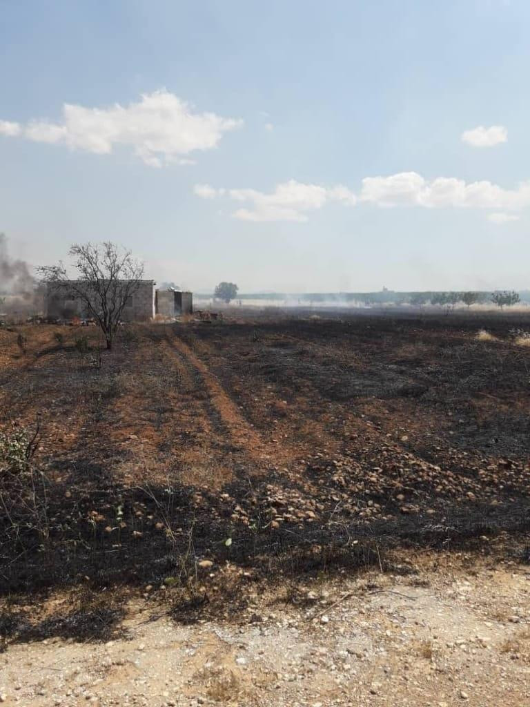 الحرائق تلتهم أشجار الفستق الح...