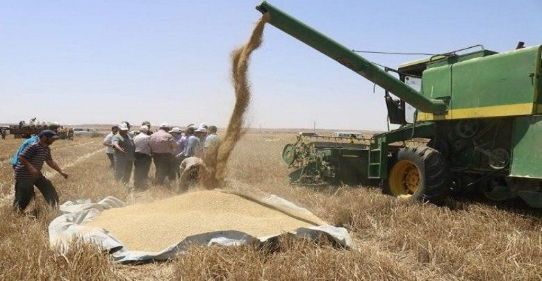 إدارة "قسد" تترك تسعيرة القمح...