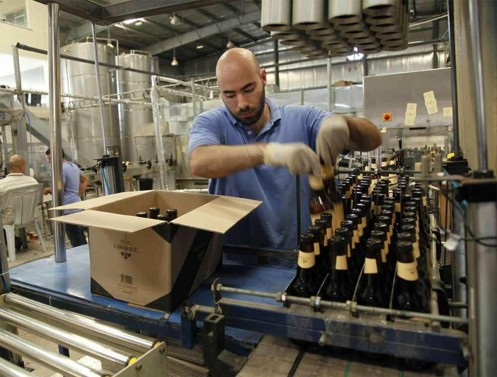 منظمة العمل الدولية: معظم اللا...