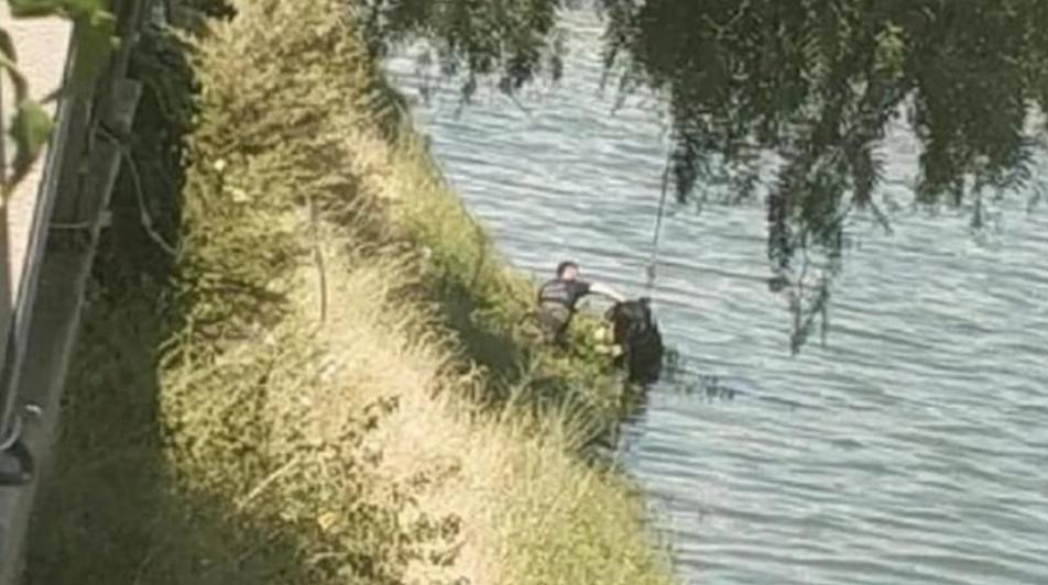 العثور على جثة فتاة سورية في أ...