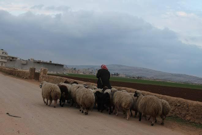 الميليشيات الإيرانية تعتقل رعا...