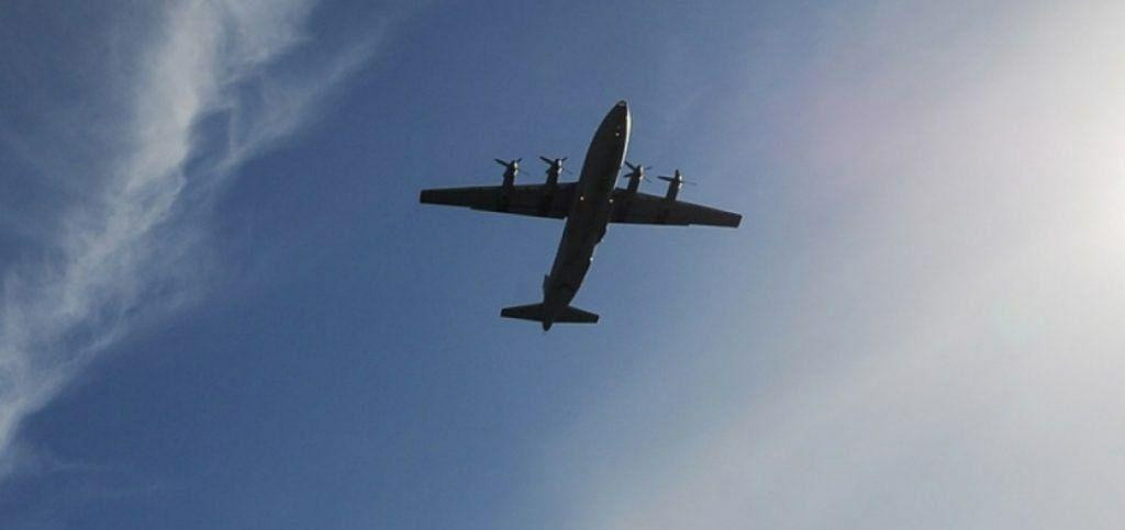 بعد غياب لأشهر.. البجعة الروسي...