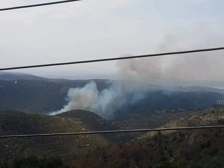 حرائق الغابات تصل إلى ريف حمص