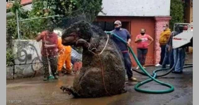 العاصمة المكسيكية.. العثور على...