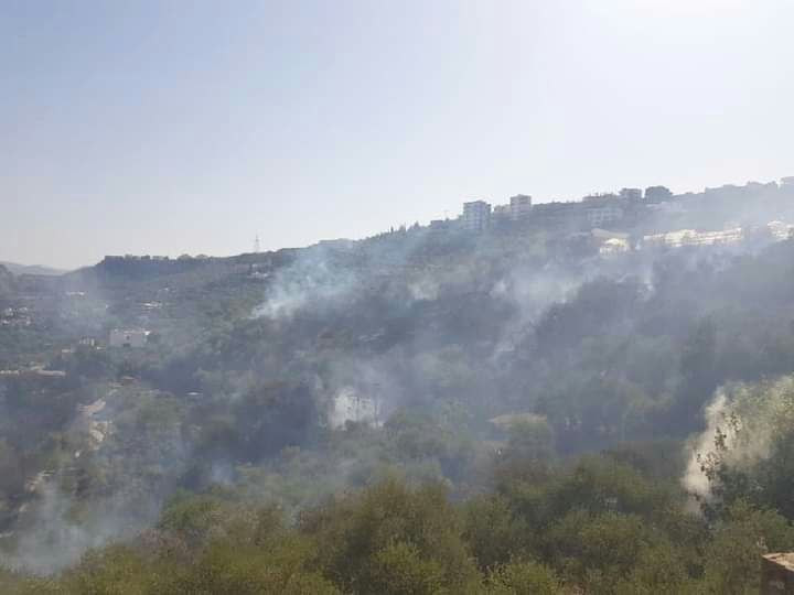 "زراعة النظام" تكشف مساحة الأر...