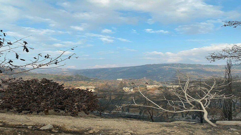 بعد الحرائق.. النظام يخصص مليا...