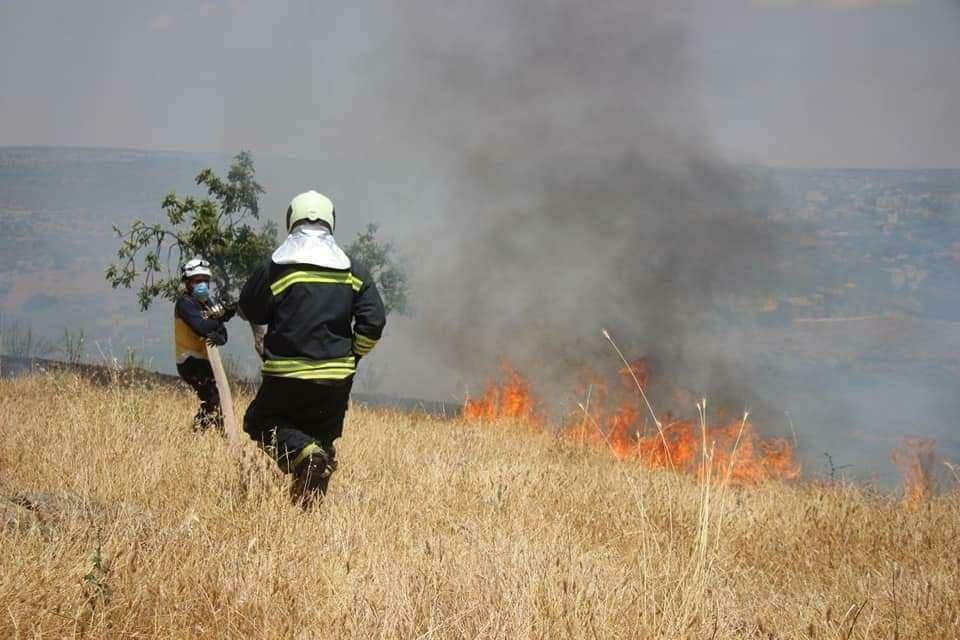 حرائق تلتهم الأراضي الزراعية ف...