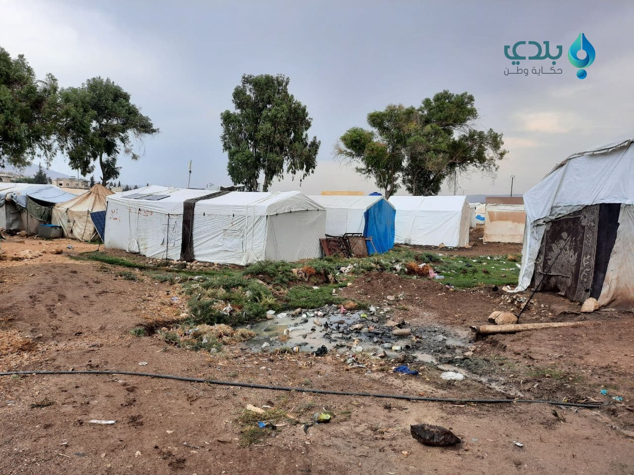 انقطاع الدعم عن التعليم.. معان...