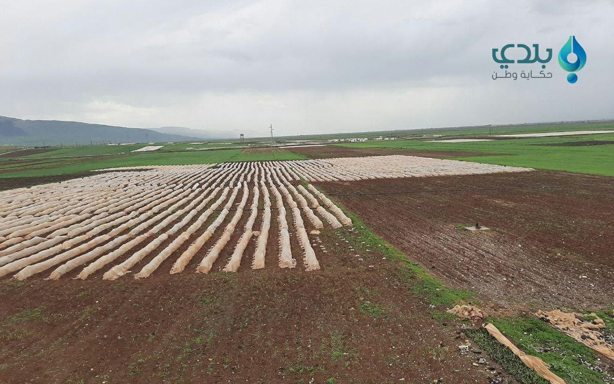 رغم قصف النظام والغلاء.. فلاحو...