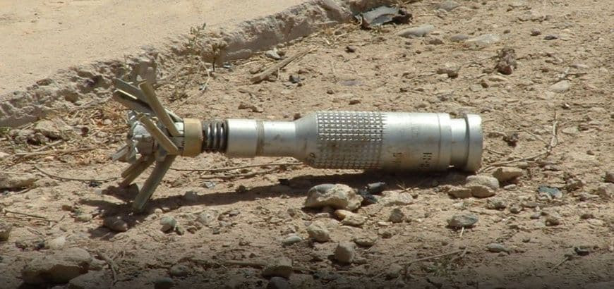 مقتل عنصرين من ميليشيات النظام...