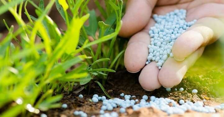 بلهجة "المنية" مجددا.. تكلفة ط...