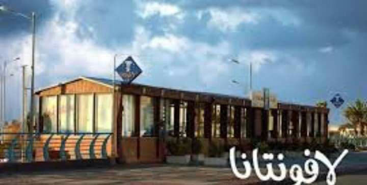 هل أجبر "وسيم الأسد" على التخل...