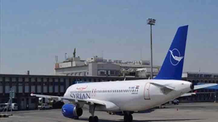 للمرة الأولى.. رحلة جوية لطائر...