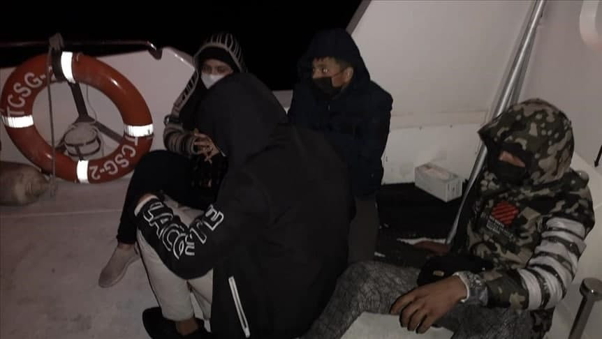 بينهم 51 سوريا.. توقيف 124 مها...