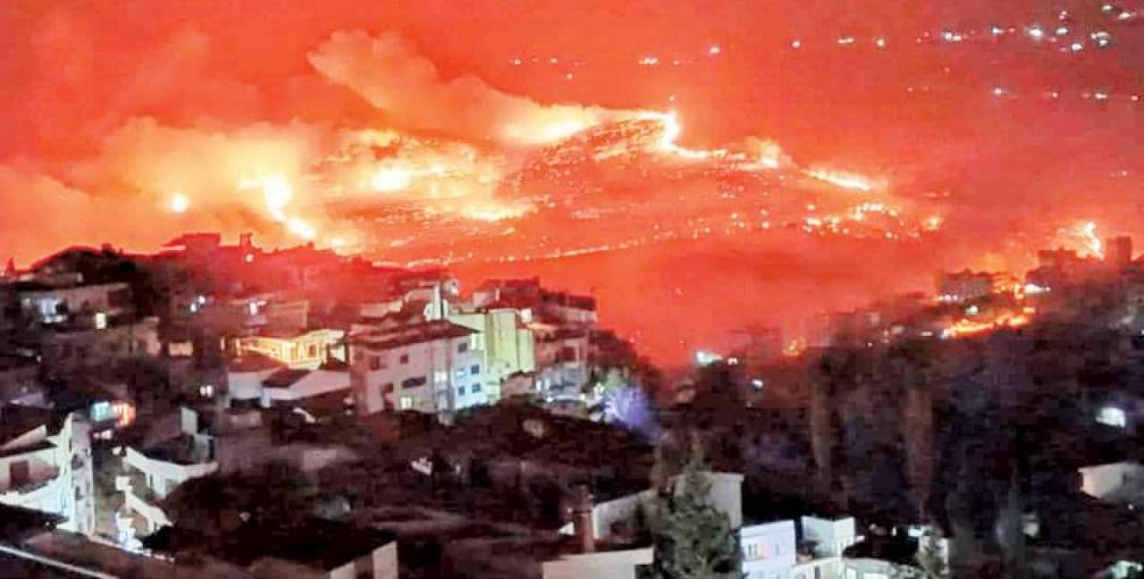 تعويضات حرائق الساحل السوري تج...