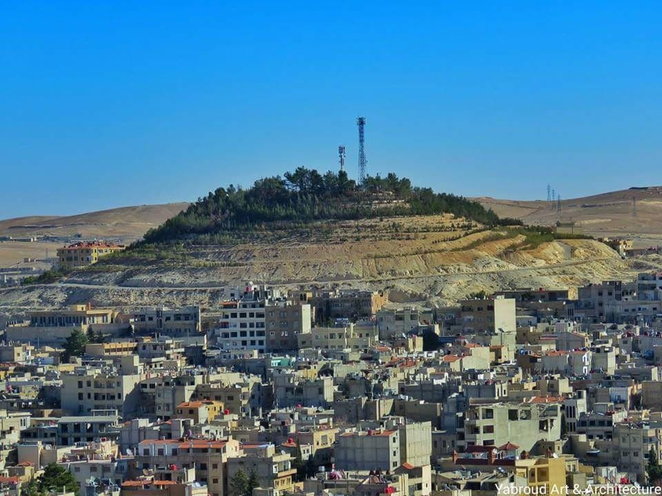 النظام يعتقل قائد ميليشيا موال...