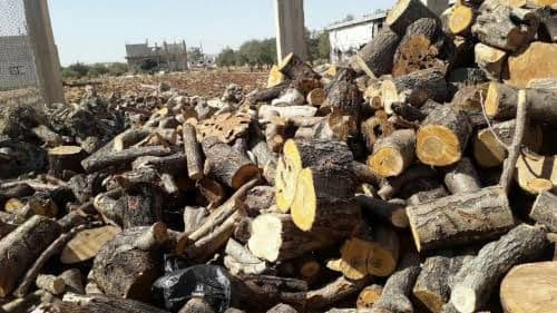 بهدف التجارة والبيع.. قوات الن...