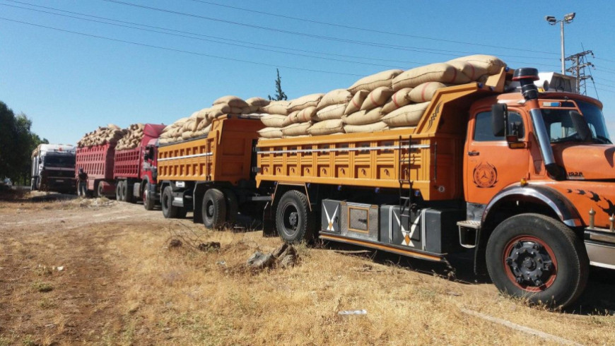 بسبب عمليات التهريب.. ارتفاع أ...