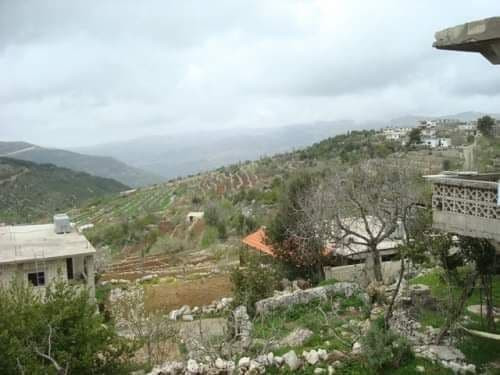 طرطوس.. خدم الأسد 6 سنوات وقتل...