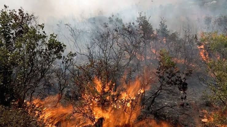 حكومة النظام تعترف بوجود فساد...