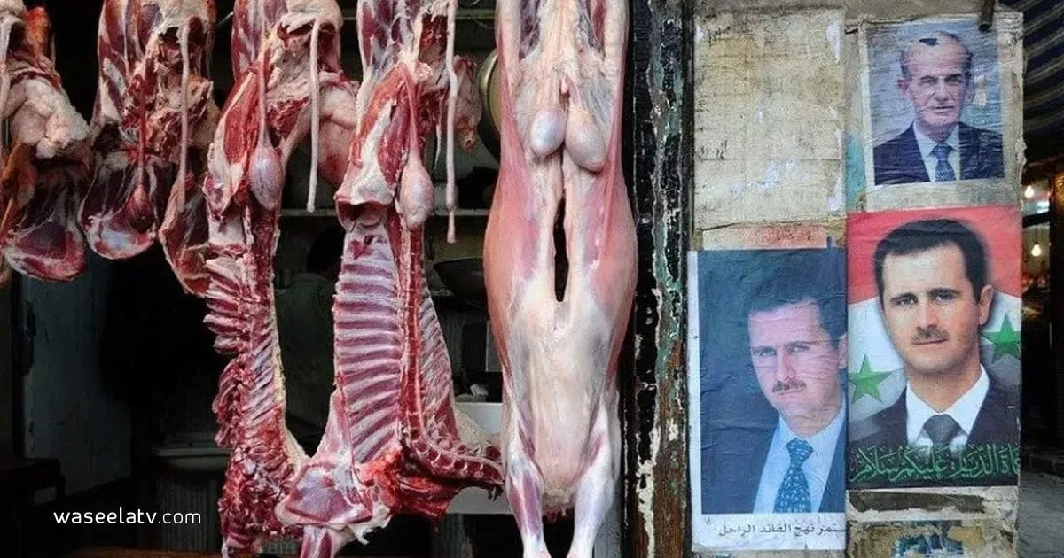 بالأرقام.. تراجع كبير في استهل...