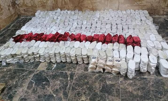 قوات النظام تعلن إحباط عملية ت...