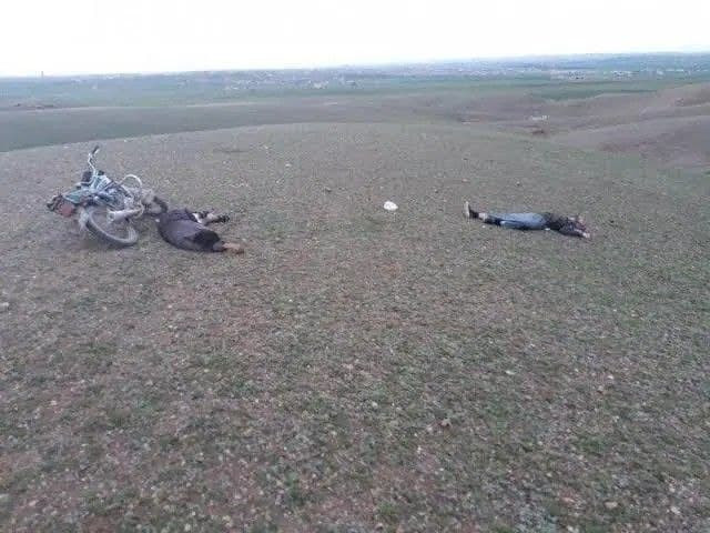 مقتل شابين من رعاة الأغنام في...