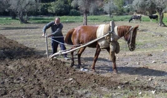 غياب المحروقات يعود بالفلاحين...