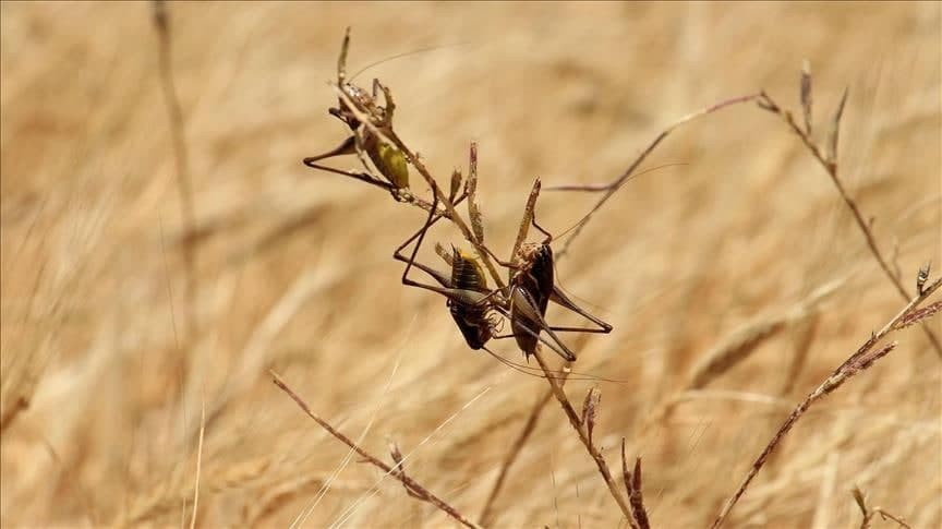 "الإدارة الذاتية" تعلن القضاء...