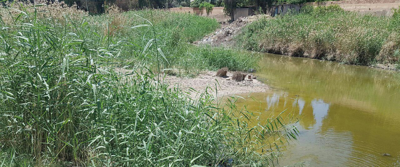 "التغير المناخي" و"الآفات الزر...