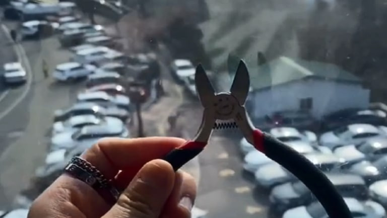 فتاة تسافر مسافة 6000 ميل لكسر...