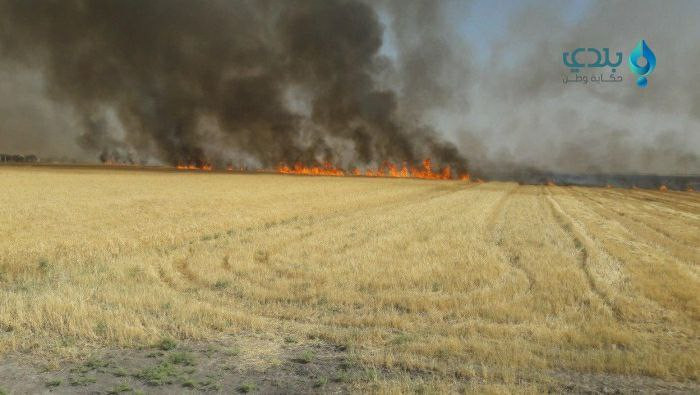 النظام يحرق المحاصيل الزراعية...