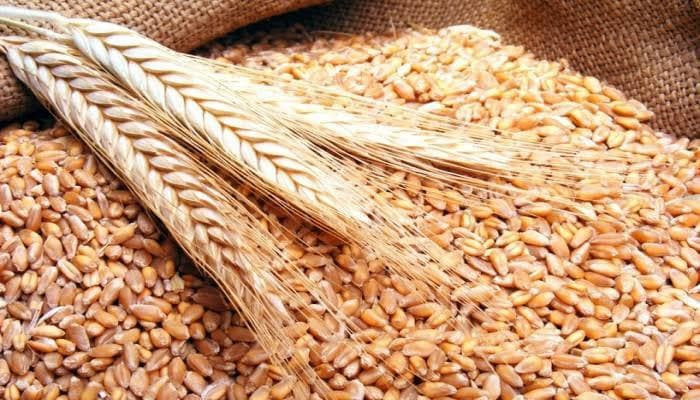 وزير بحكومة النظام يرجح وصول م...