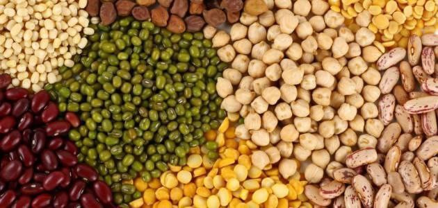 ماذا أهدت "السورية للحبوب" عما...