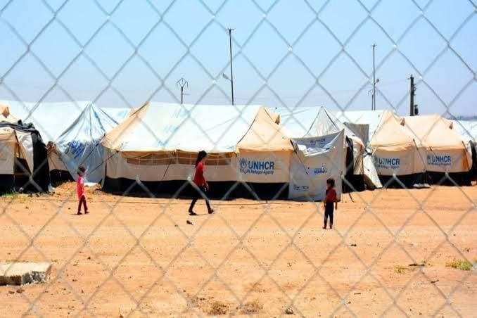 بلجيكا تستعيد 10 أطفال وست نسا...