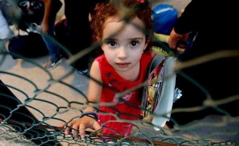 "الشبكة السورية" تشارك في "الا...