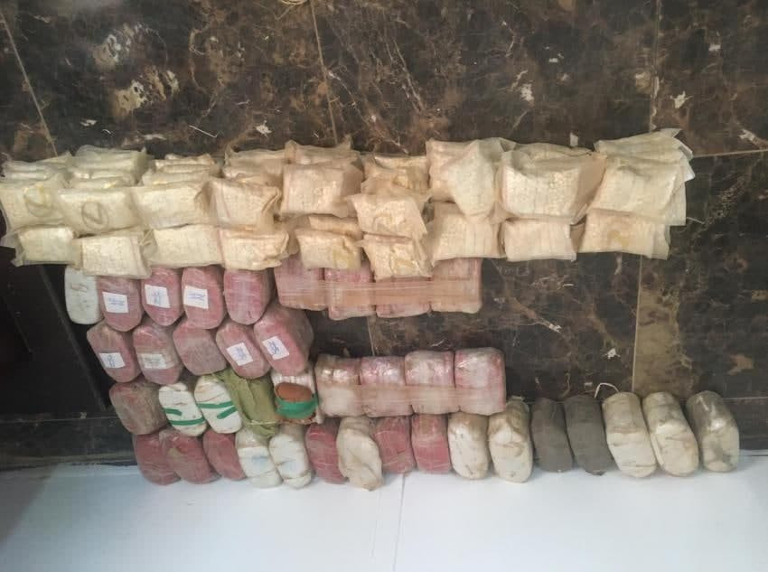 "الجيش الأردني" يحبط محاولتي ت...