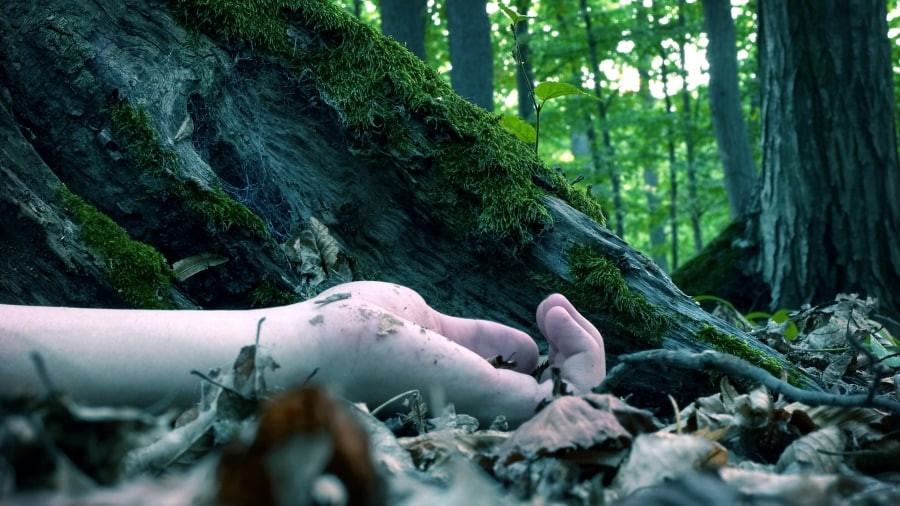 العثور على جثة فتاة داخل صندوق...