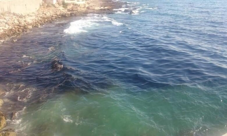 اللاذقية.. رصد أربع بقع تلوث ب...