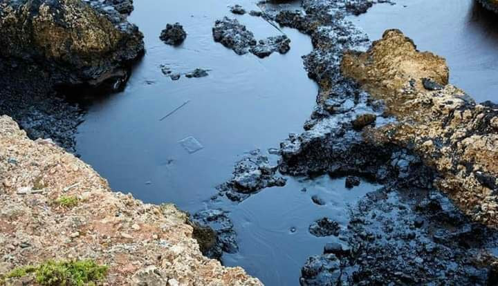 حكومة النظام تتعهد بمحاسبة الم...