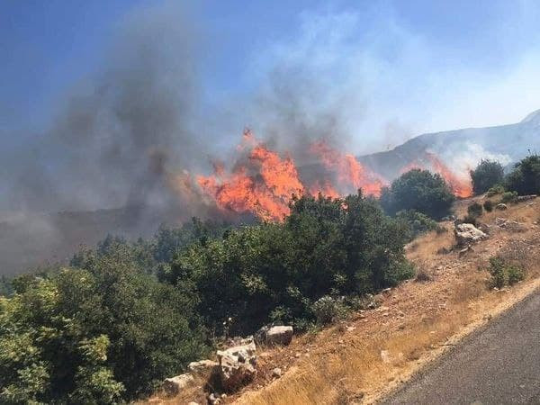 حرائق كبيرة تلتهم الأشجار الحر...