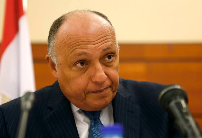 مصر تكشف عن رؤية مشتركة مع روس...