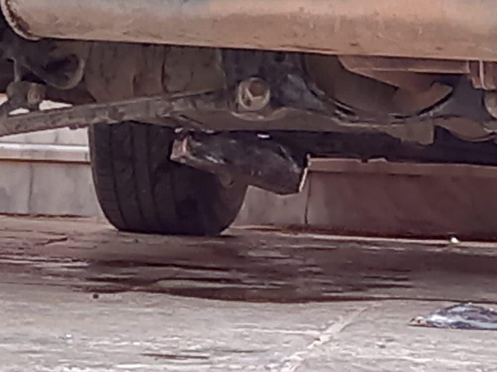 نجاة عضو مجلس محافظة القنيطرة...